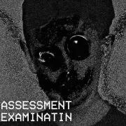 Assessment Examination