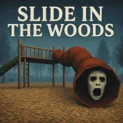 Slide In The Woods