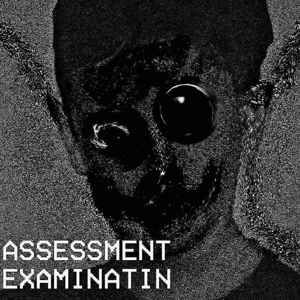 Assessment Examination
